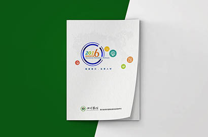 庐阳区画册设计：以场景为媒，打造城市体验的全新入口